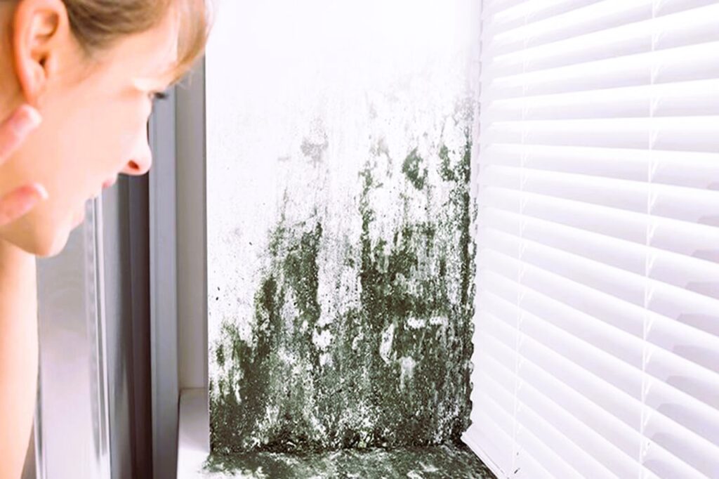 Mold-Resistant Window Treatments: Stylish Solutions for Mold Prevention
