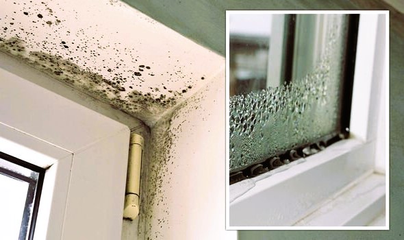 condensation and prevent mould