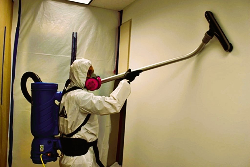 Eco-Friendly Mold Remediation