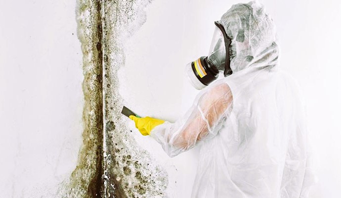 Removing Mold at Home