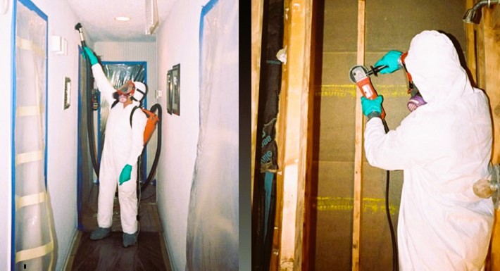 Eco-Friendly Mold Remediation