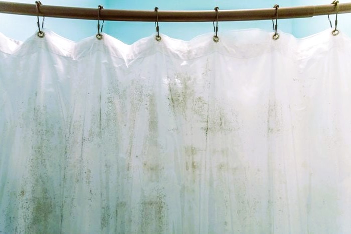 remove mould from curtains